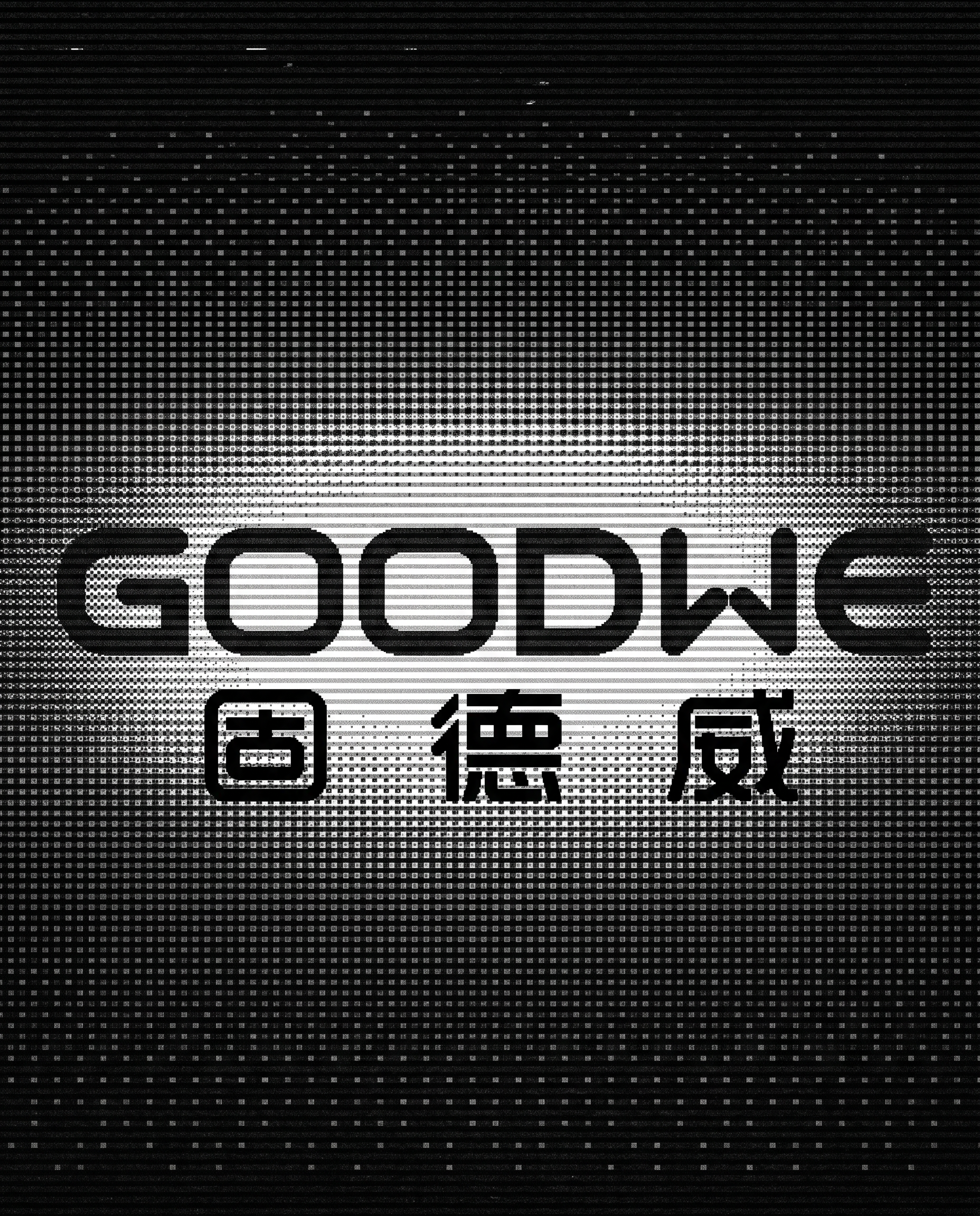 GoodWe visual frame