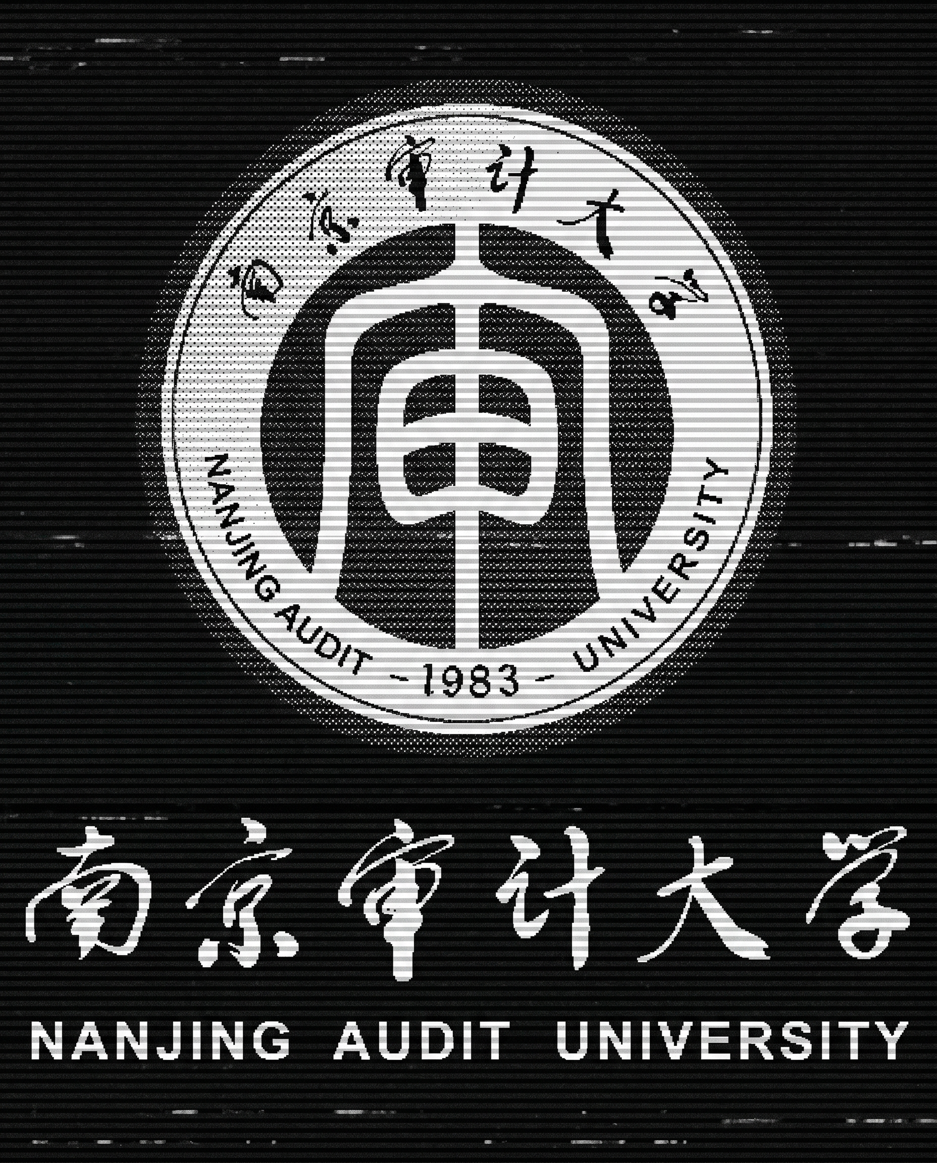 Nanjing Audit University visual frame