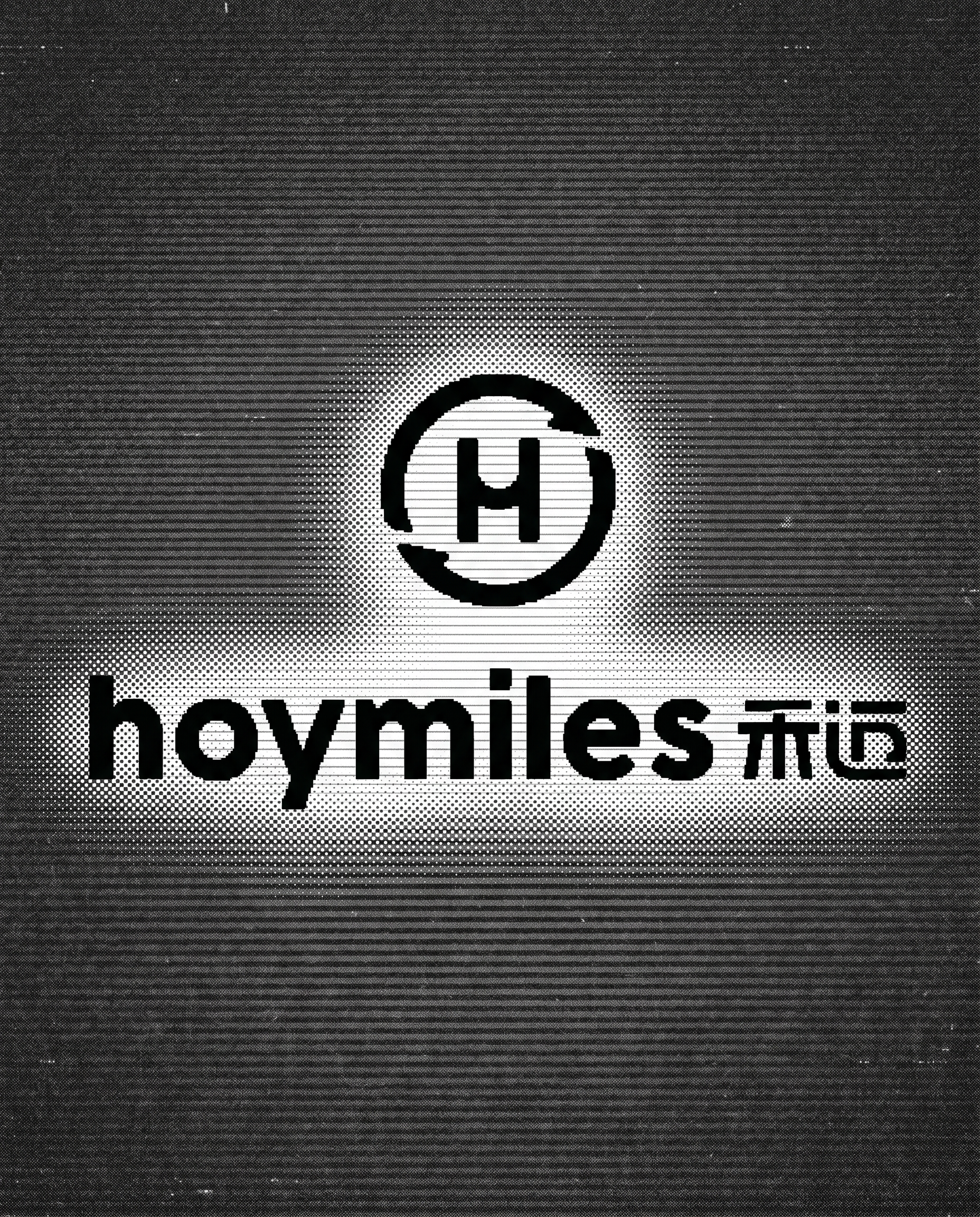 Hoymiles visual frame